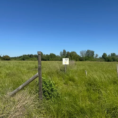 WhatsApp Image 2026-03-16 at 8.01.43 AM (5)
