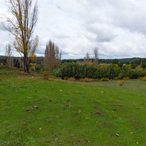 Campito