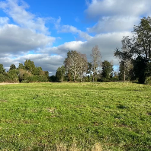 IMG_3819.webp