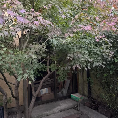 WhatsApp-Image-2026-04-26-at-5.56.40-PM-2.webp